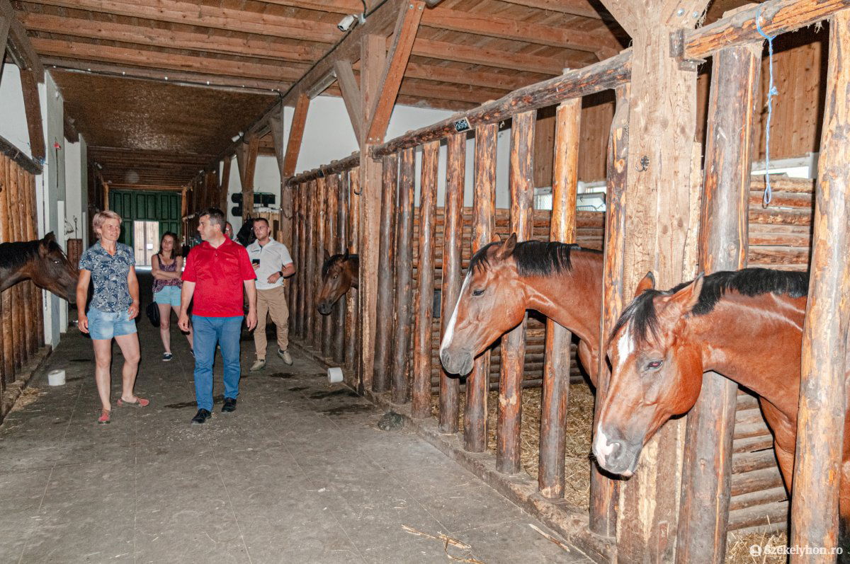 &bullet;  Fotó: Gábos Albin