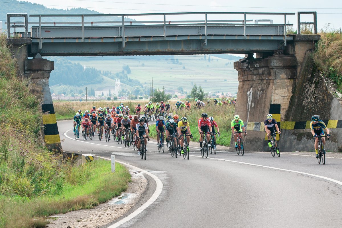 • Fotó: Halmágyi Zsolt