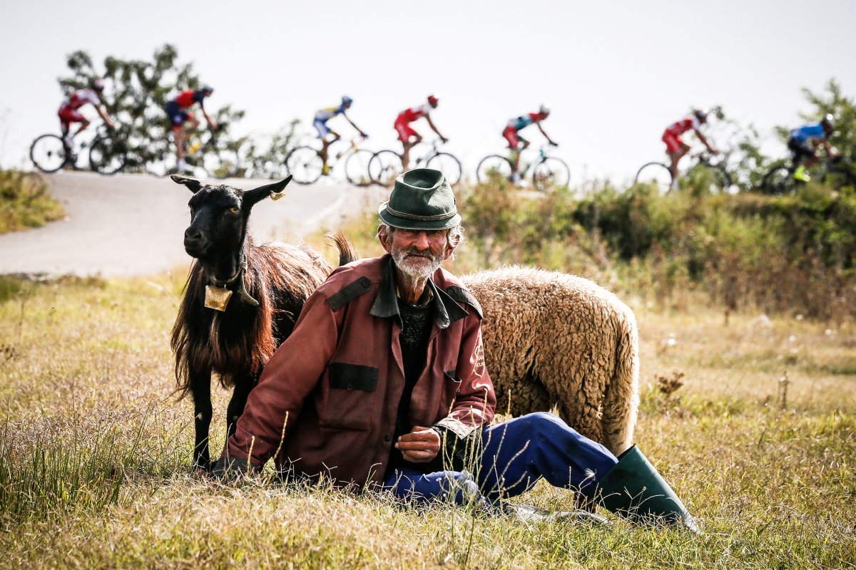 Halmágyi díjazott fotója &bullet;  Fotó: Halmágyi Zsolt