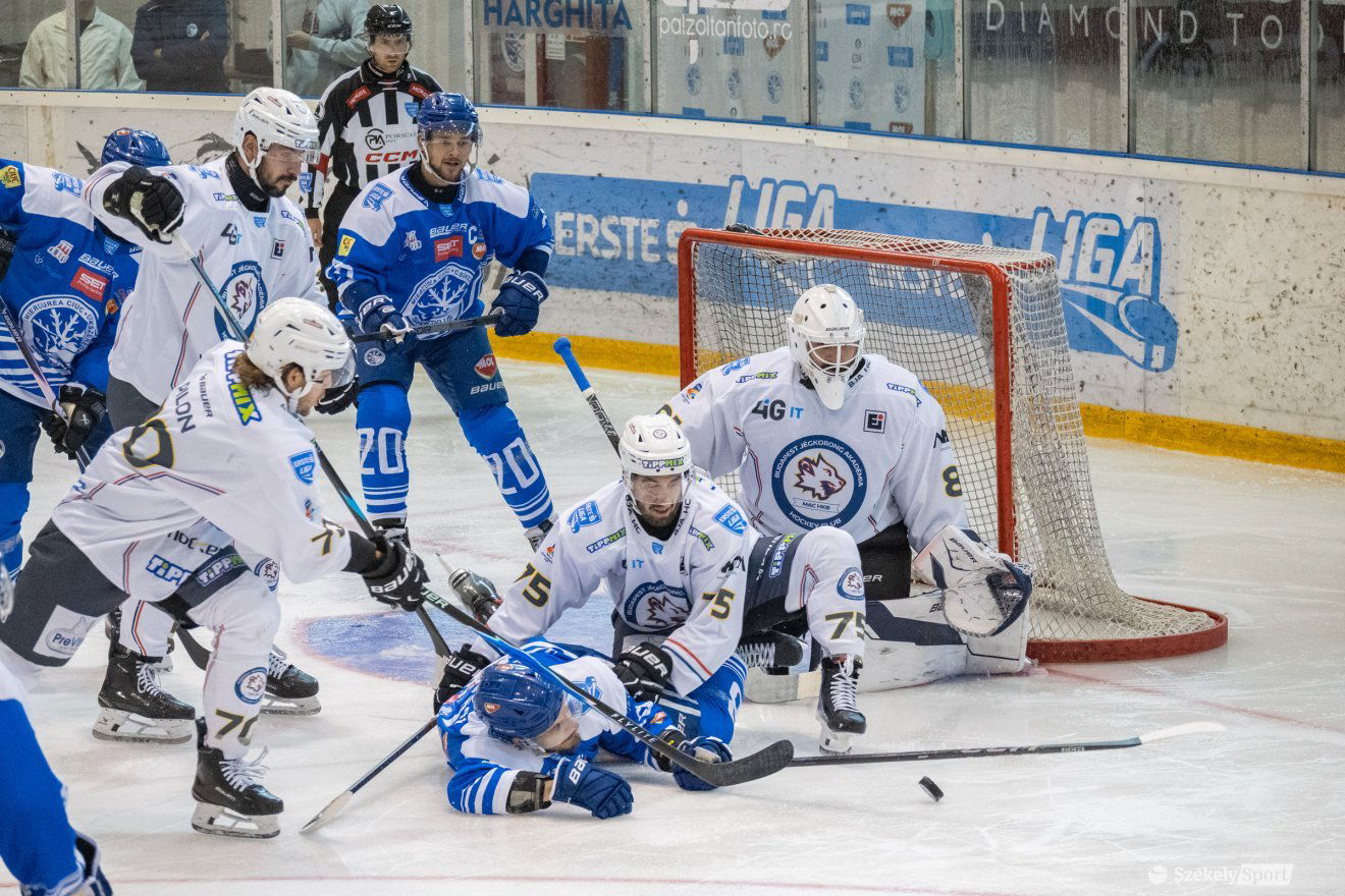 •  Fotó: Borbély Fanni