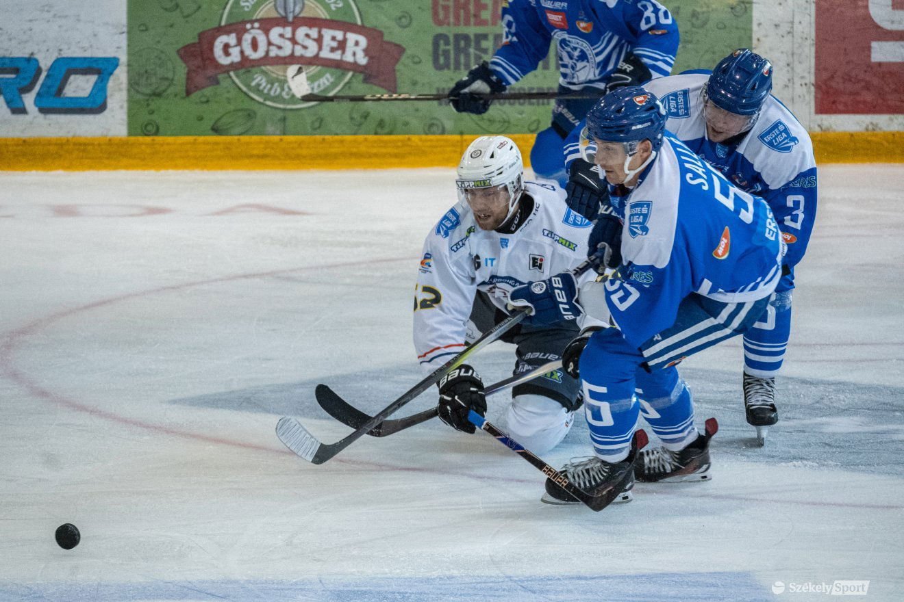 •  Fotó: Borbély Fanni