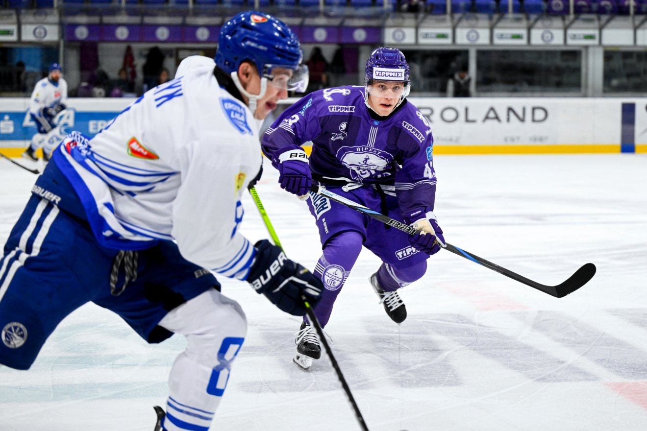 •  Fotó: Vörös Dávid