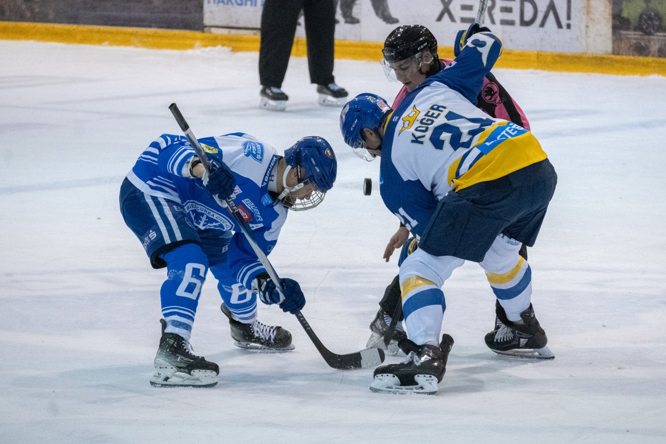 •  Fotó: Borbély Fanni