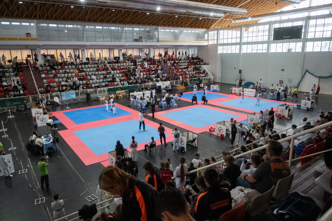 •  Fotó: Borbély Fanni