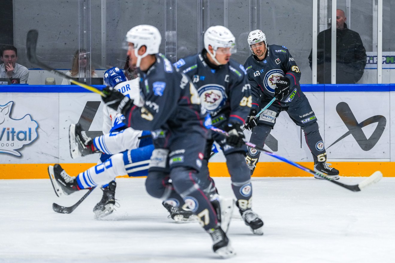 •  Fotó: Várhegyi Erna