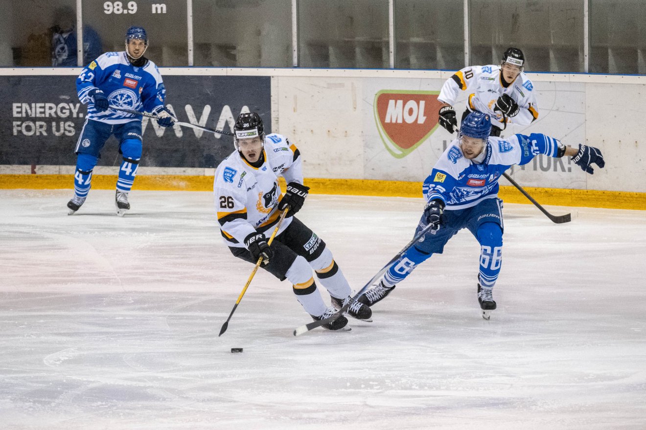 •  Fotó: Borbély Fanni