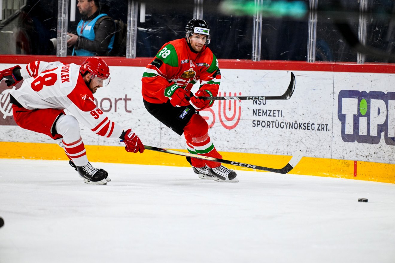 • Fotó: MJSZ / Vörös Dávid