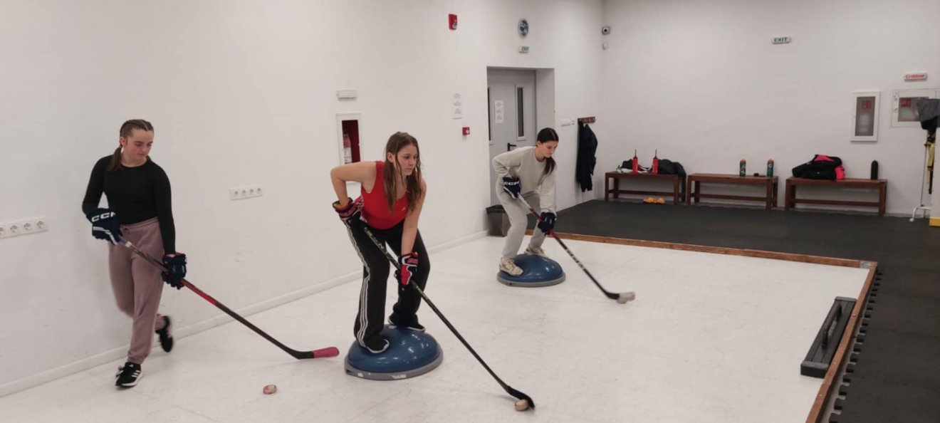 &bullet;  Fotó: Román Jégkorong-szövetség (FRHG)