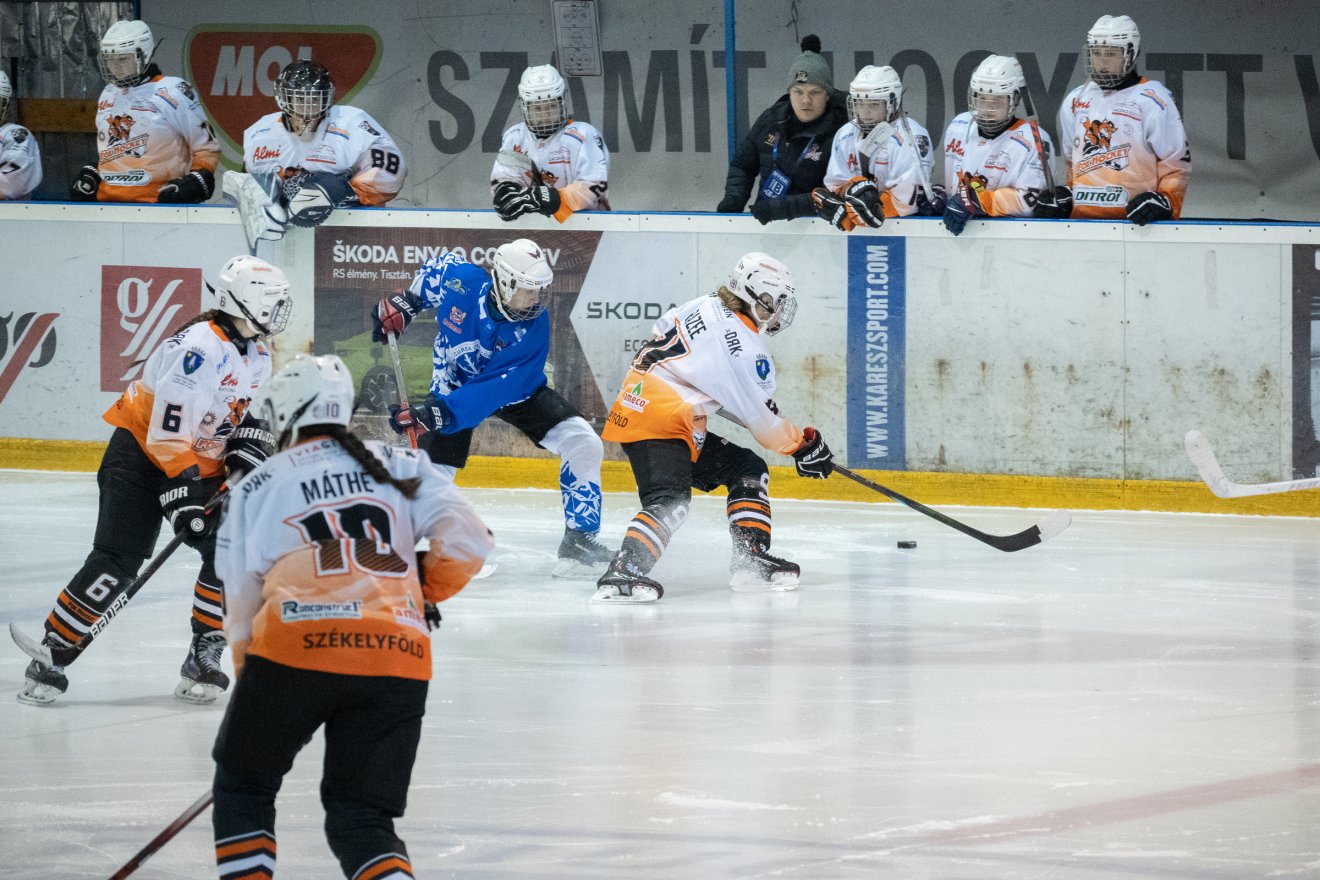 &bullet;  Fotó: Borbély Fanni