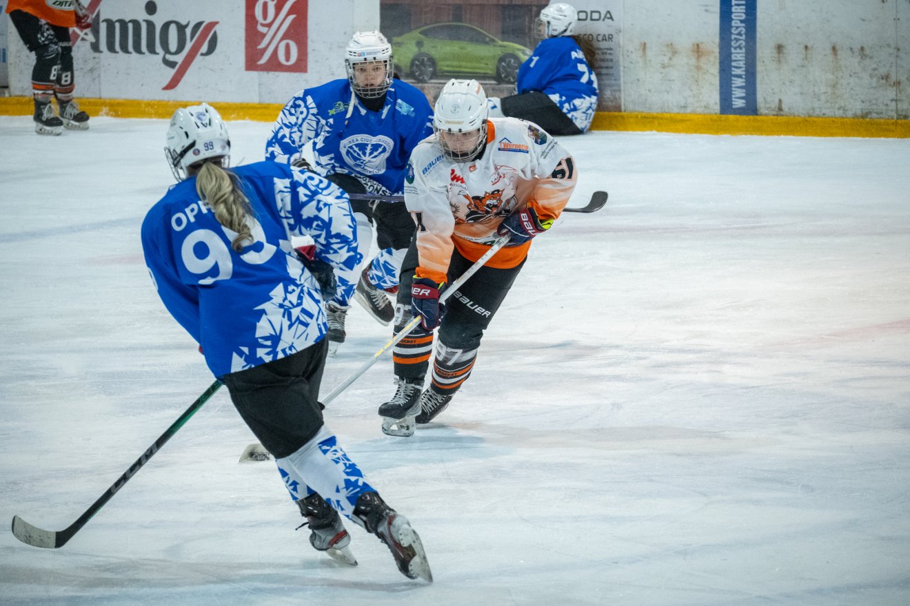 &bullet;  Fotó: Borbély Fanni