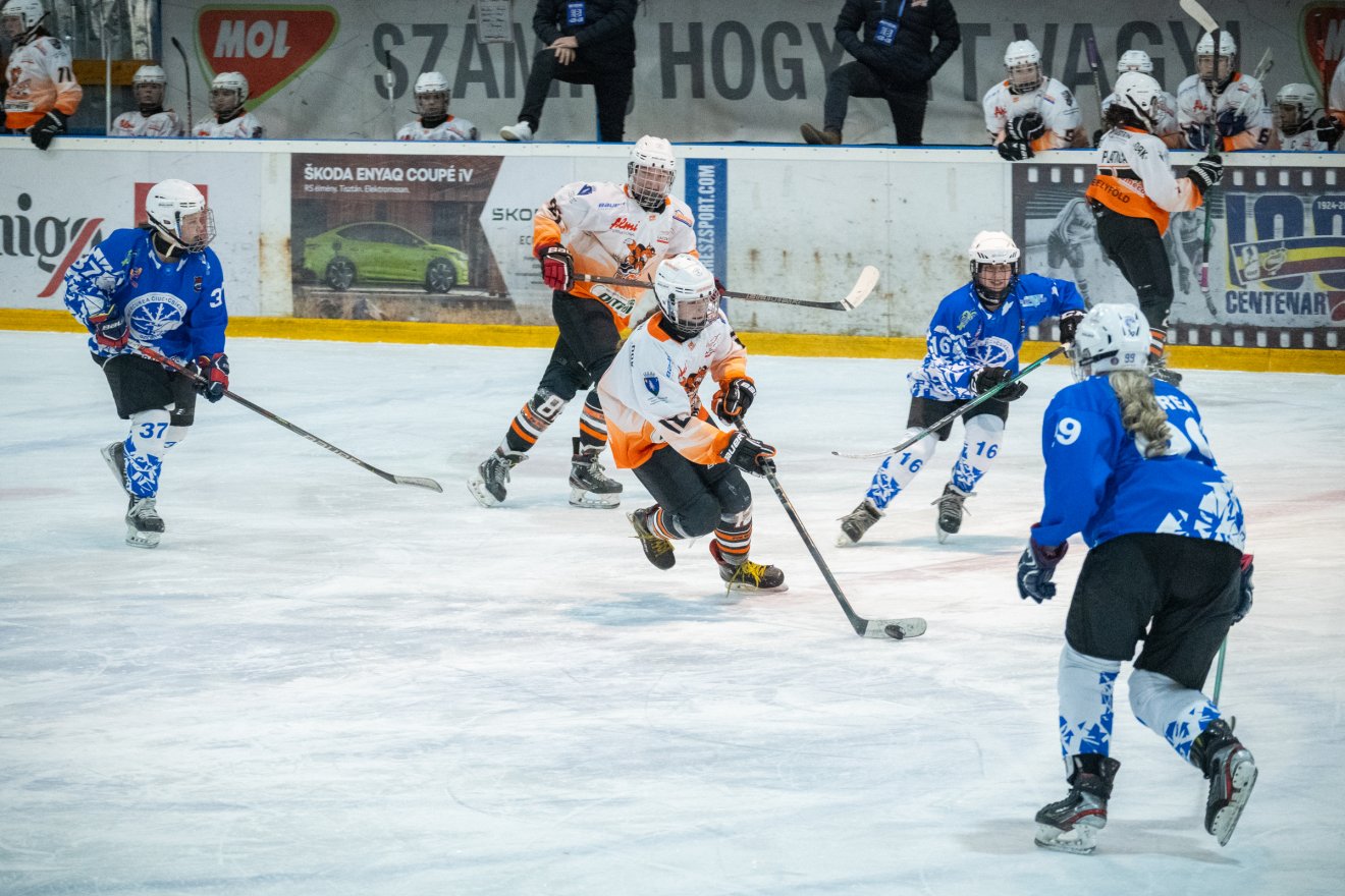 &bullet;  Fotó: Borbély Fanni