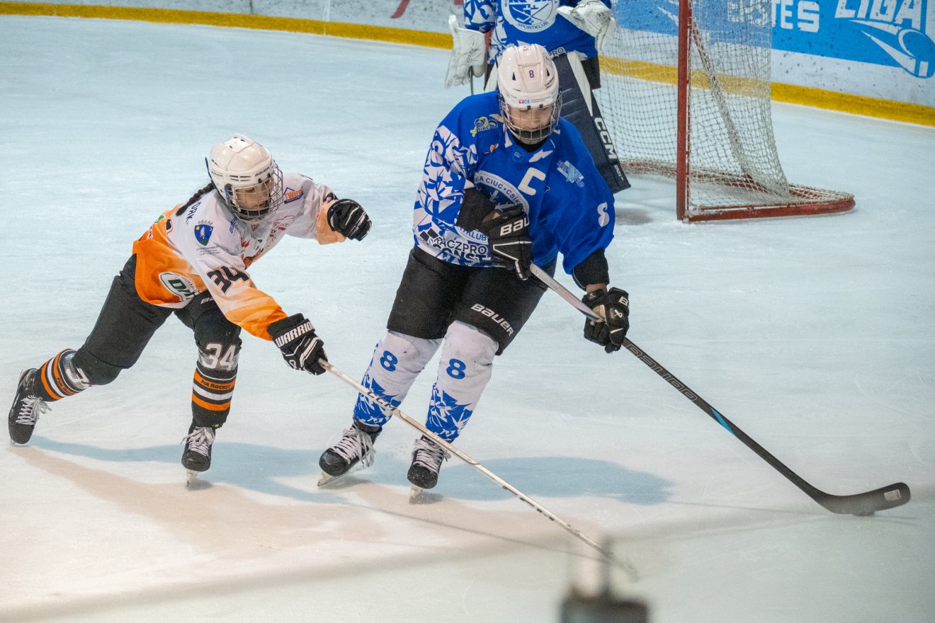 &bullet;  Fotó: Borbély Fanni