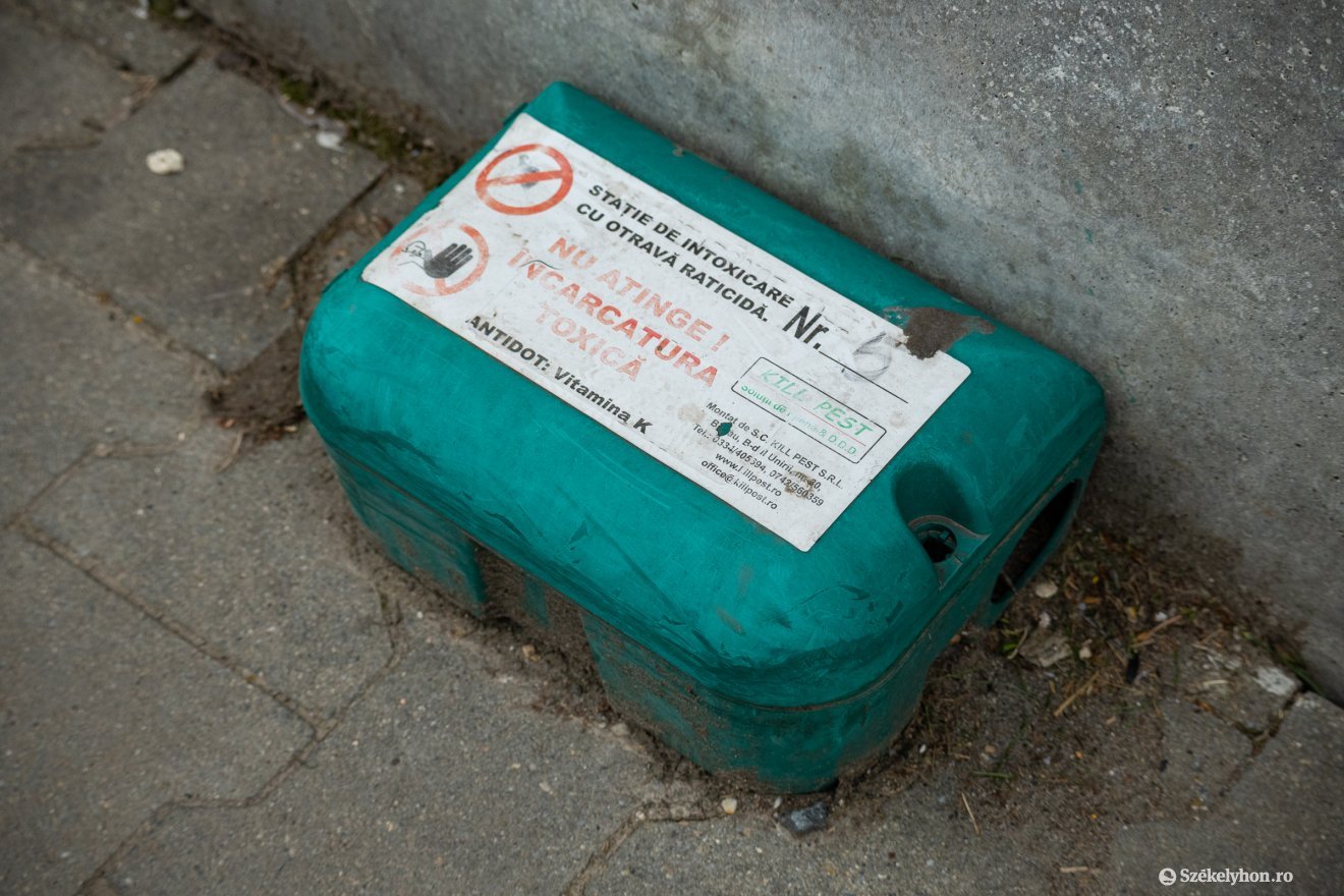 &bullet;  Fotó: Borbély Fanni