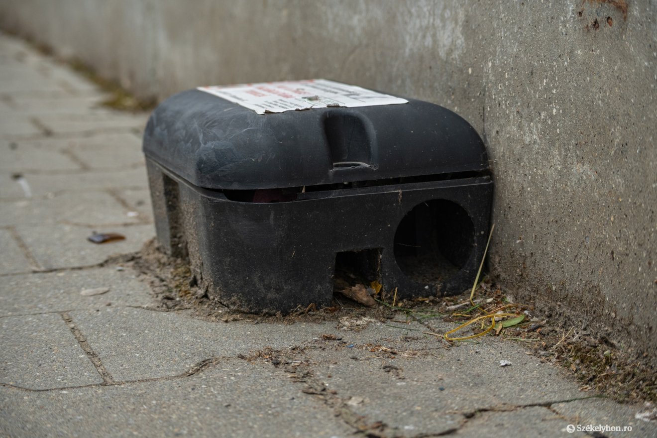 &bullet;  Fotó: Borbély Fanni