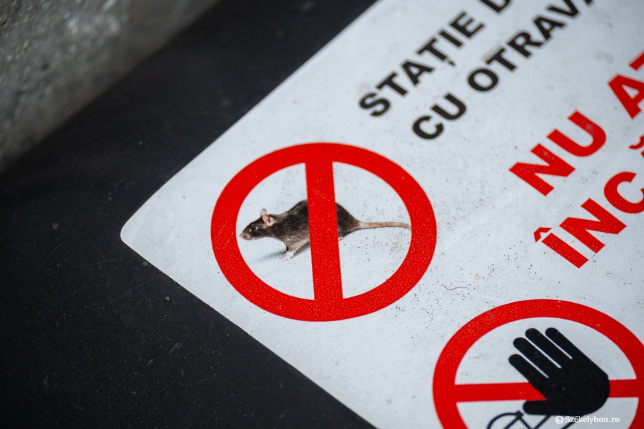 &bullet;  Fotó: Borbély Fanni