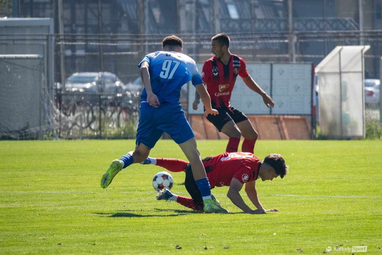&bullet;  Fotó: Borbély Fanni