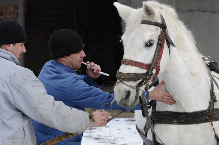 A szabadúszó állatorvosok az orvoskamara nélkül állapíthatják meg díjszabásaikat?