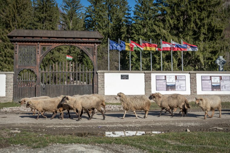 Még nem sikerült térfigyelő kamerát felszerelni az úzvölgyi katonatemetőnél, ami a rongálók azonosításában segítene