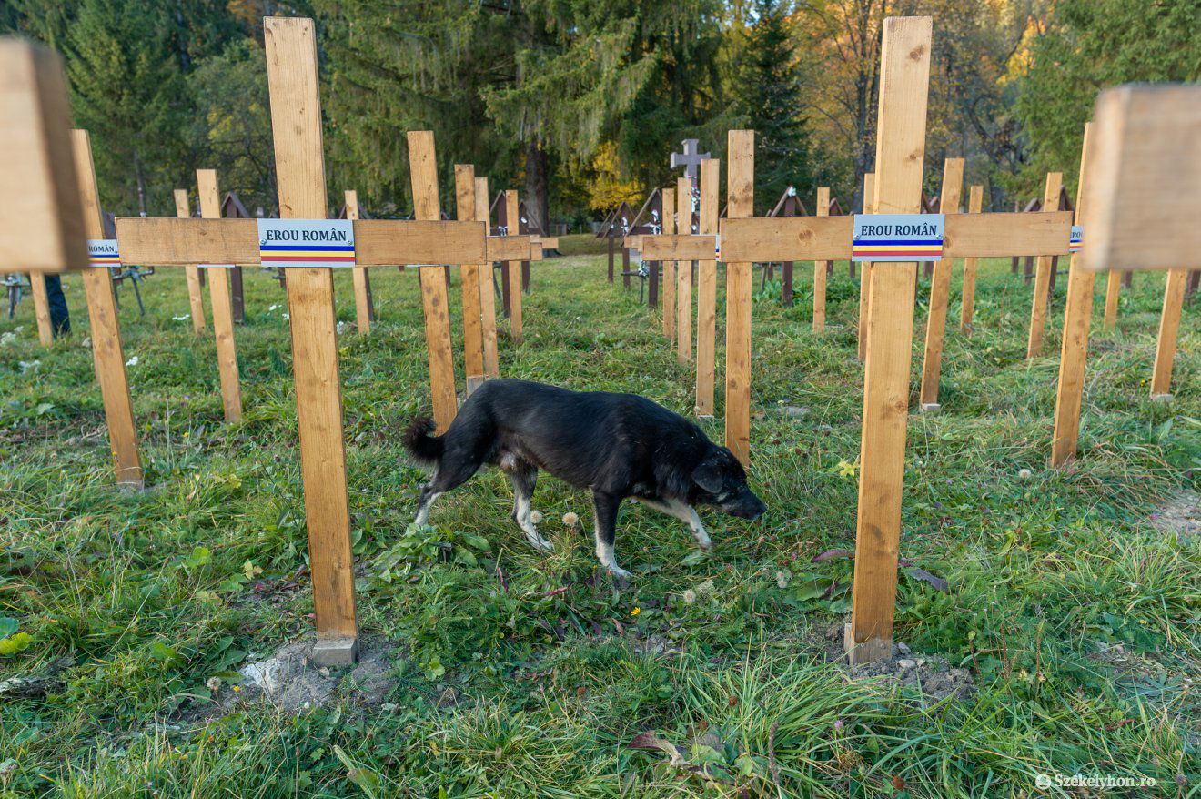 •  Fotó: Pinti Attila