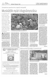 Csíki Hírlap XI. évfolyam 122. szám