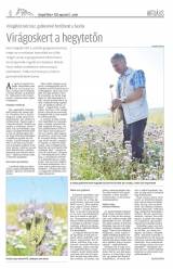 Gyergyói Hírlap VII. évfolyam 158. szám