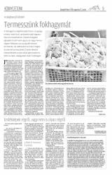 Gyergyói Hírlap VII. évfolyam 158. szám
