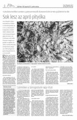 Csíki Hírlap XI. évfolyam 160. szám