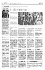 Vásárhelyi Hírlap X. évfolyam, 163. szám
