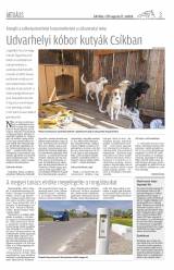 Csíki Hírlap XI. évfolyam 164. szám
