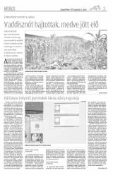 Gyergyói Hírlap VII. évfolyam 168. szám