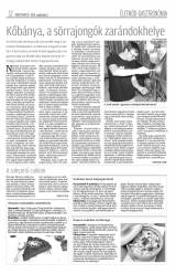 Erdélyi Napló XXVI. évfolyam, 35. szám