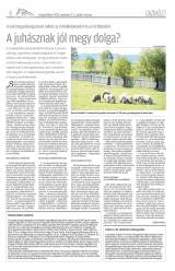Gyergyói Hírlap VII. évfolyam 175. szám