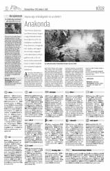 Vásárhelyi Hírlap X. évfolyam, 191. szám