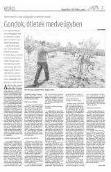 Gyergyói Hírlap VII. évfolyam 193. szám
