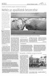 Csíki Hírlap XI. évfolyam 199. szám