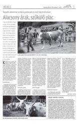 Udvarhelyi Híradó XXVII. évfolyam, 201. szám
