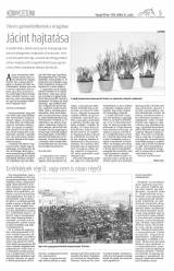 Gyergyói Hírlap VII. évfolyam 203. szám