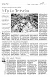 Csíki Hírlap XI. évfolyam 204. szám