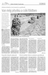 Csíki Hírlap XI. évfolyam 205. szám