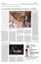 Udvarhelyi Híradó XXVII. évfolyam, 213. szám