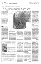 Csíki Hírlap XI. évfolyam 221. szám