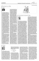 Vásárhelyi Hírlap X. évfolyam, 225. szám