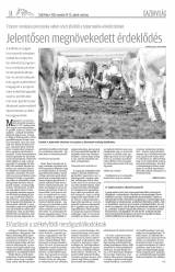 Csíki Hírlap XI. évfolyam 225. szám