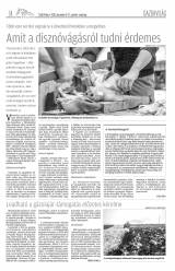 Csíki Hírlap XI. évfolyam 238. szám
