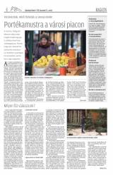 Udvarhelyi Híradó XXVII. évfolyam, 246. szám