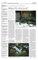 Vásárhelyi Hírlap X. évfolyam, 247. szám