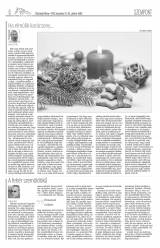 Vásárhelyi Hírlap X. évfolyam, 248. szám
