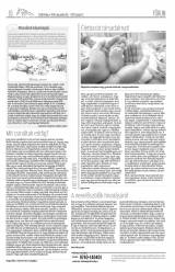 Csíki Hírlap XI. évfolyam 252. szám