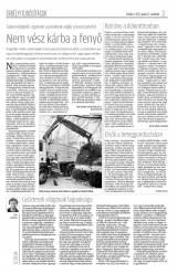 Krónika XIX. évfolyam, 8. szám