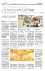Gyergyói Hírlap VIII. évfolyam 9. szám